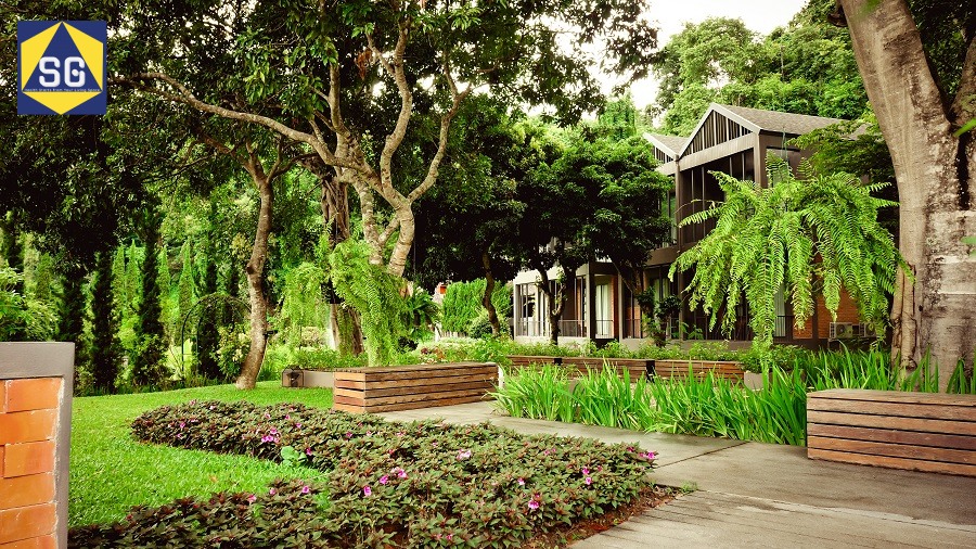 Thiết kế sân vườn nhà quê Thiết kế sân vườn nhà quê