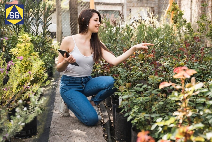 Thiết kế vườn hoa trước nhà
