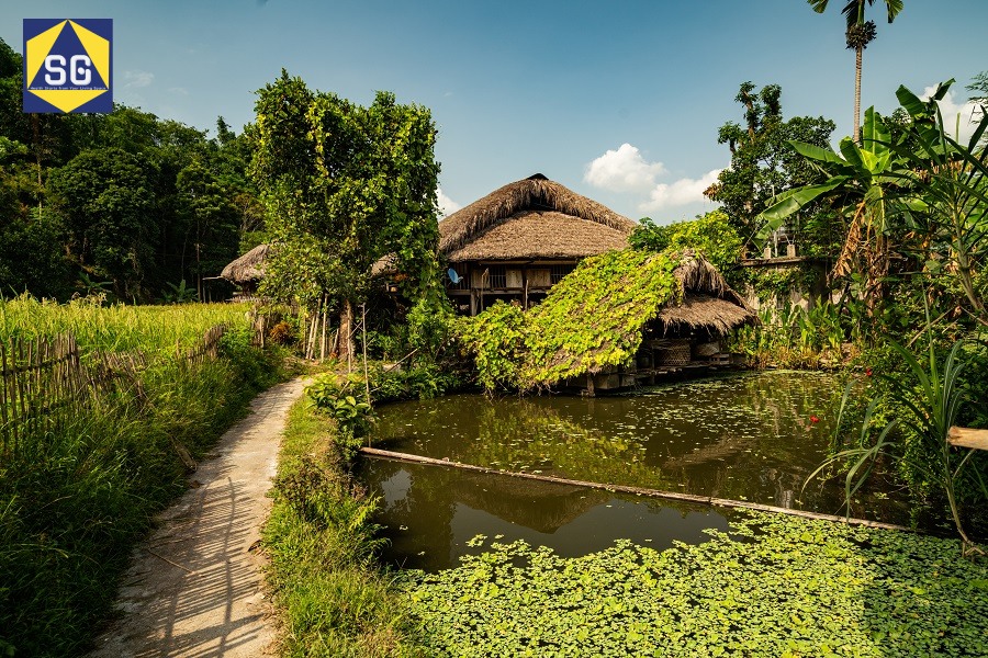 Thiết kế homestay nhà vườn