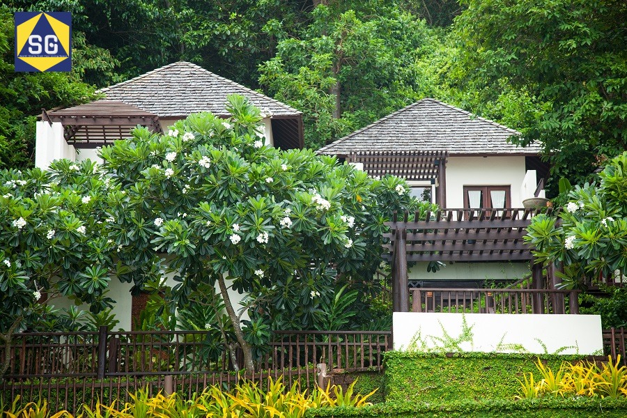 Thiết kế homestay nhà vườn
