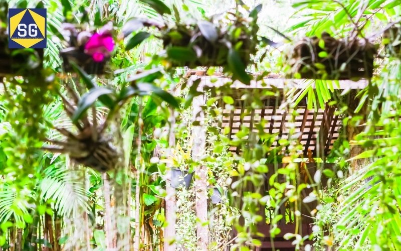 Thiết kế sân vườn nhỏ sau nhà