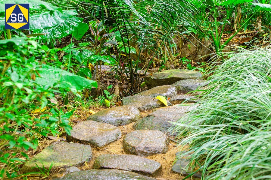 Thiết kế sân vườn nhỏ sau nhà