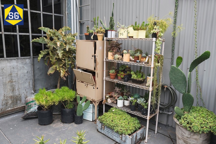 Thiết kế sân vườn nhỏ sau nhà