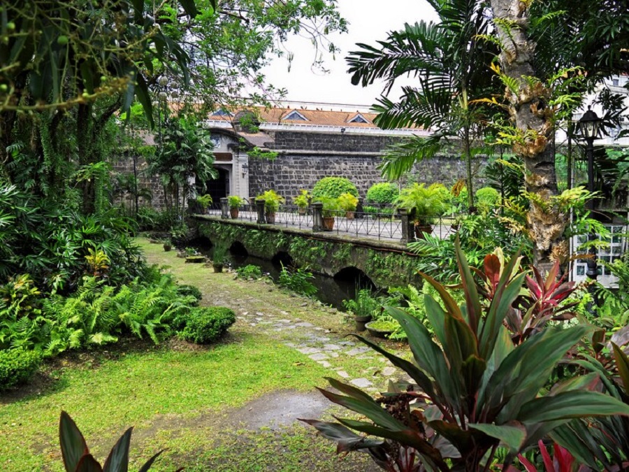 Thiết kế vườn rau sau nhà