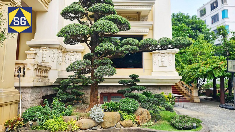 Thiết kế sân trước nhà phố